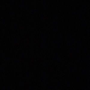 Meet your Posher, Maddison